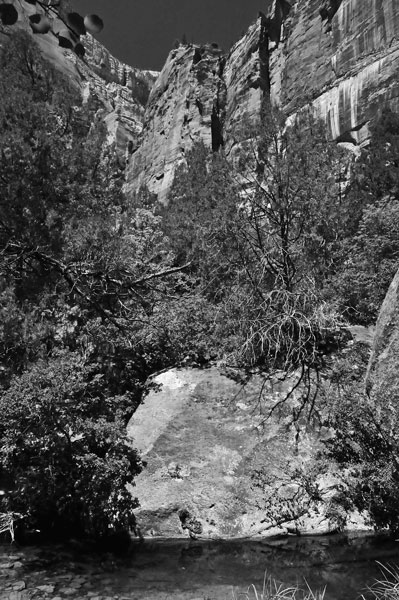 Zion-Utah15 - 8455bw