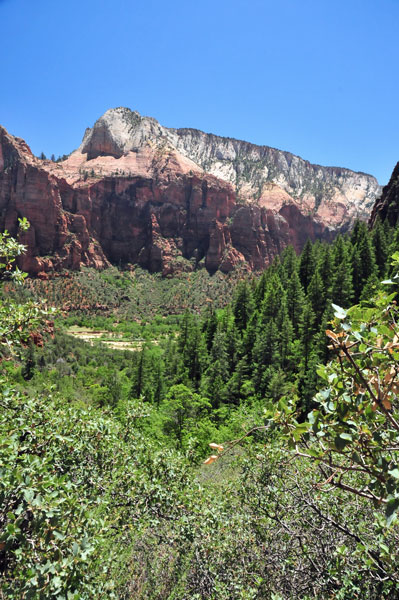 Zion-Utah15 - Virgin River valley - 8456