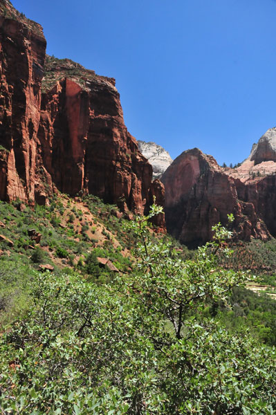 Zion-Utah15 - Virgin River valley - 8457