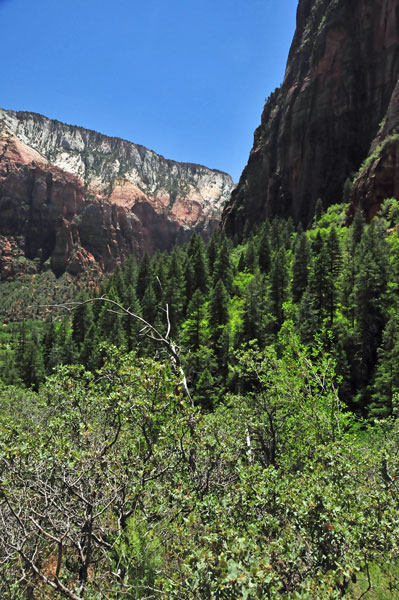 Zion-Utah15 - 8459