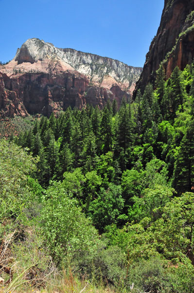 Zion-Utah15 - 8460