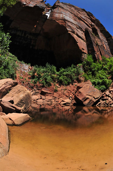 Zion-Utah15 - 8463