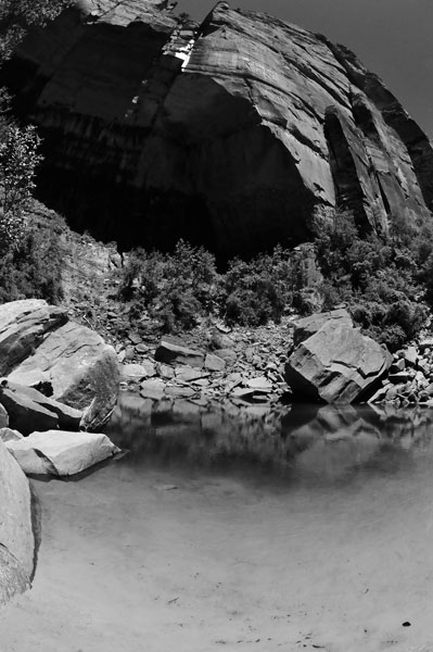 Zion-Utah15 - 8463bw