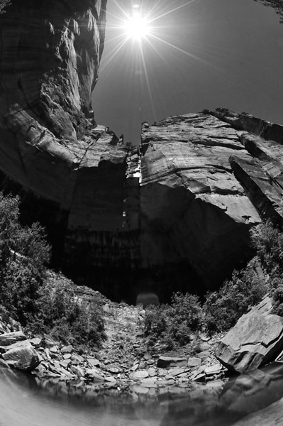 Zion-Utah15 - 8465bw