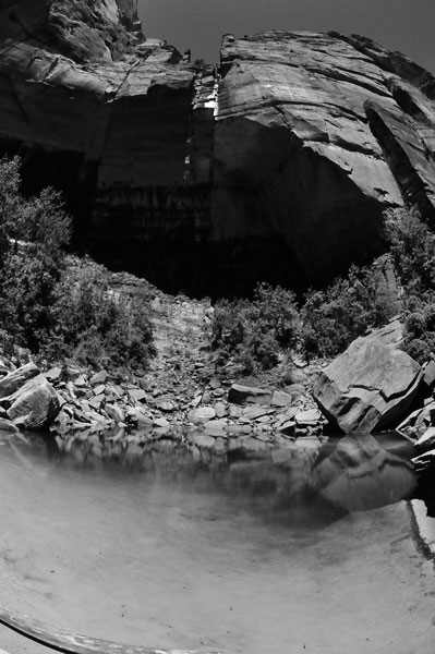 Zion-Utah15 - 8467bw