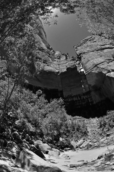 Zion-Utah15 - 8470bw