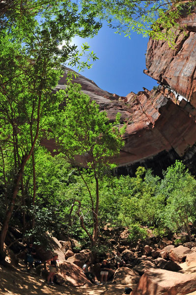 Zion-Utah15 - 8471