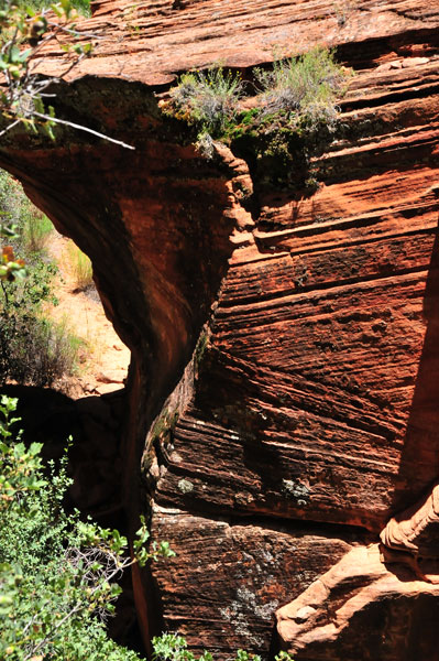 Zion-Utah15 - 8481