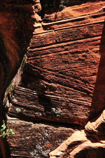 Zion-Utah15 - 8481hc