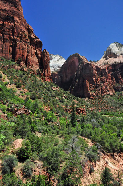 Zion-Utah15 - 8482