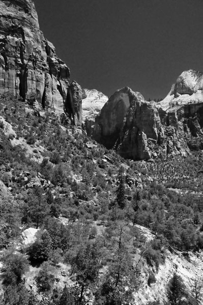 Zion-Utah15 - 8482bw