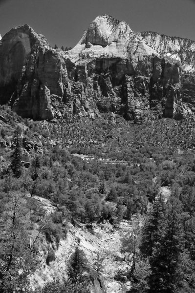 Zion-Utah15 - 8483bw