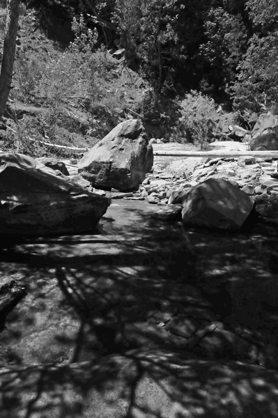 Zion-Utah15 - 8485bw