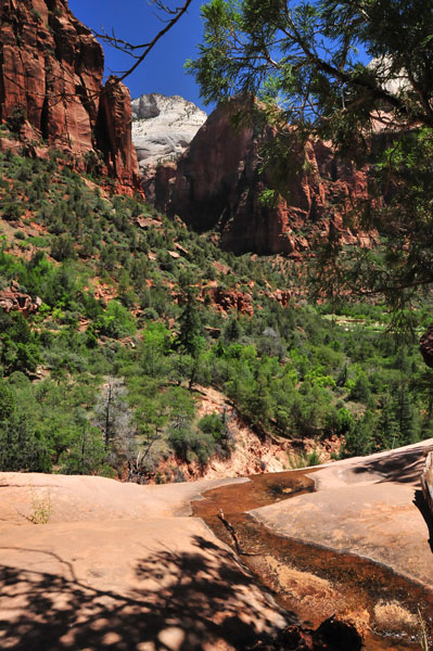 Zion-Utah15 - 8486