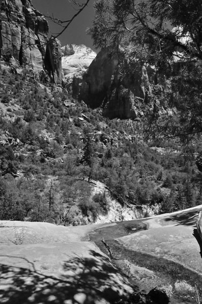 Zion-Utah15 - 8486bw