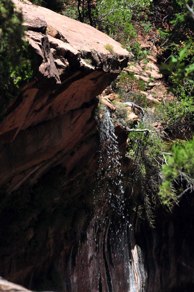 Zion-Utah15 - 8487