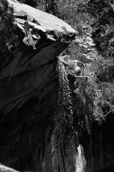 Zion-Utah15 - 8487bw