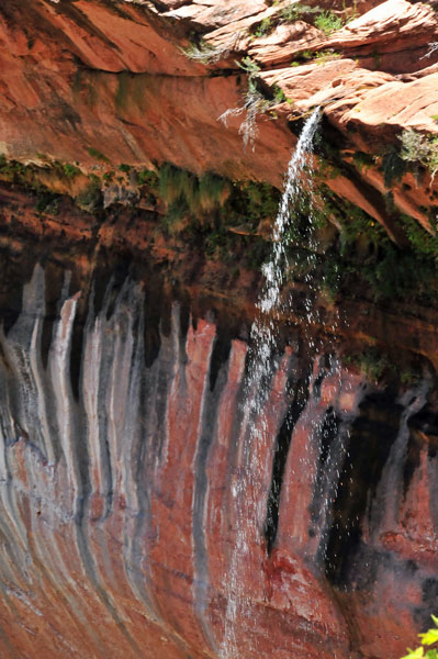 Zion-Utah15 - 8488