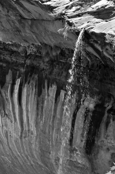 Zion-Utah15 - 8488bw