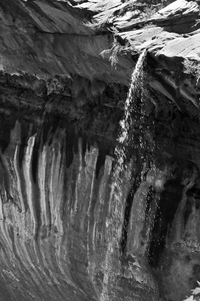 Zion-Utah15 - 8488bw-cn