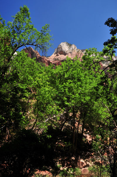 Zion-Utah15 - 8492