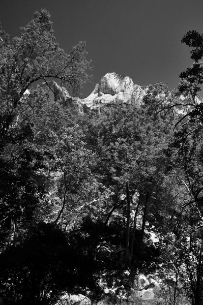 Zion-Utah15 - 8492bw