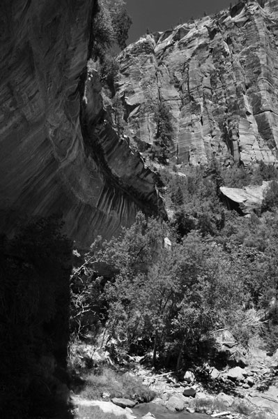 Zion-Utah15 - 8498bw