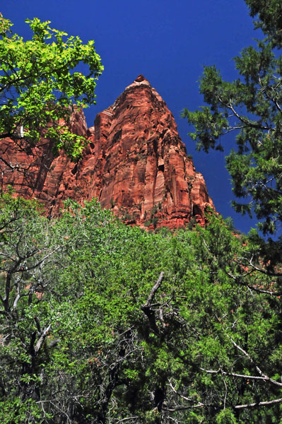 Zion-Utah15 - 8509