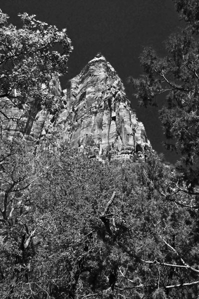 Zion-Utah15 - 8509bw