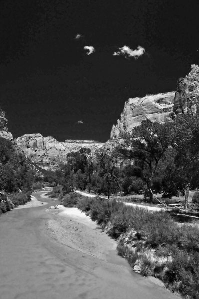 Zion-Utah15 - 8512bw