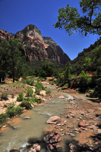 Zion-Utah15 - 8513