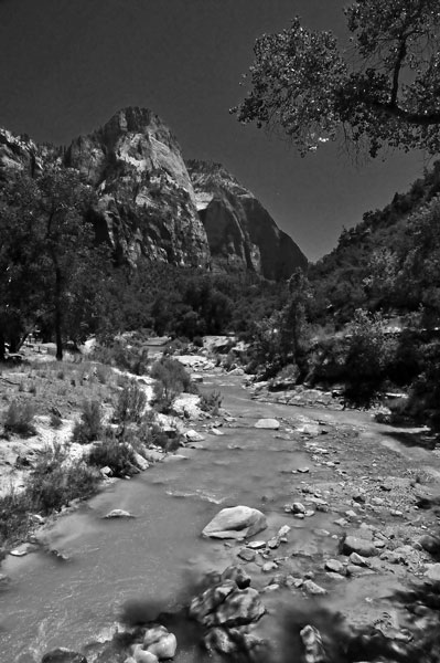 Zion-Utah15 - 8513bw