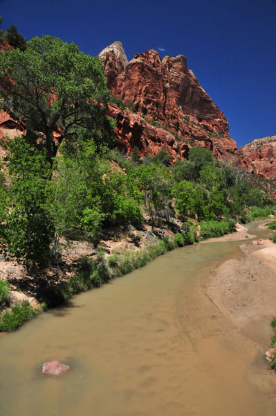 Zion-Utah15 - 8514