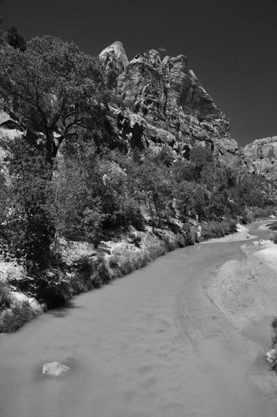 Zion-Utah15 - 8514bw