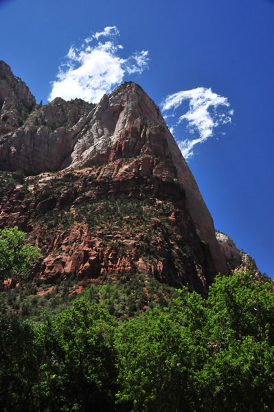 Zion-Utah15 - 8516