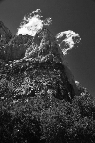 Zion-Utah15 - 8516bw