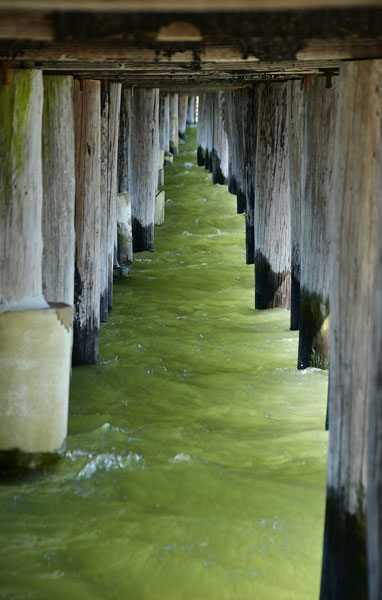 05-17 Cape Shores pier 3611