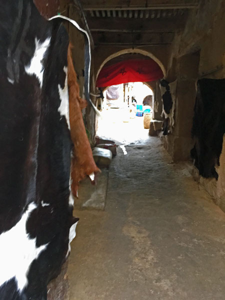 Cow hide lined alleyway - Moroc-i0105