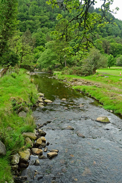 06-07 Glendalough 4247