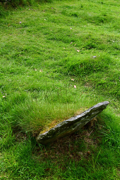 06-07 Glendalough 4259