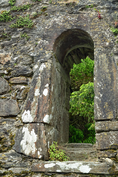 06-07 Glendalough 4276