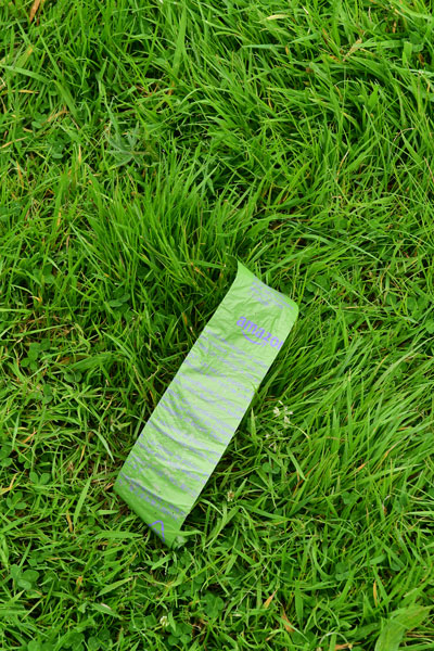 06-07 EVERYTHING is green in Ireland! 4303