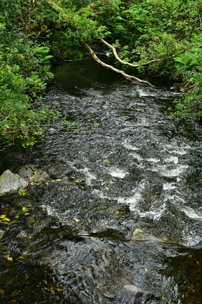 06-07 Glendalough 4304