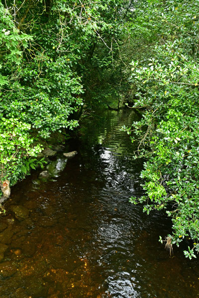 06-07 Glendalough 4306