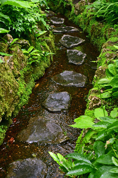 06-08 Irish National Stud & Gardens 4444