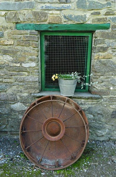 Muckross Traditional Farms - 06-09-4546