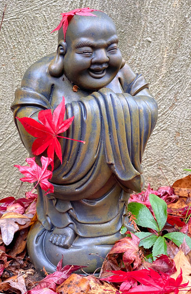 11-30 Happy Buddha i4514