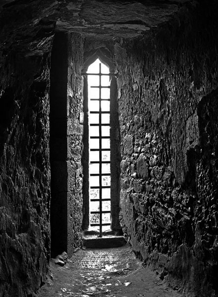 06-09 Blarney Castle i0431bw