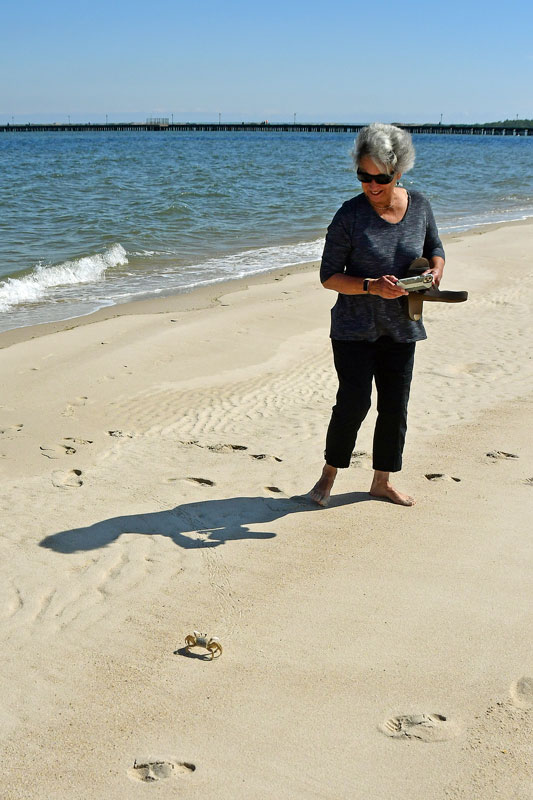 05-19 Atlantic ghost crab and Pat 4016