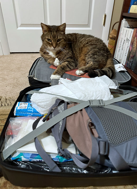 08-18 Hobbes has been supervising our packing for a trip to eastern Malaysia, Borneo i0018